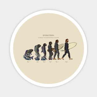 Evolution of Surfer Magnet